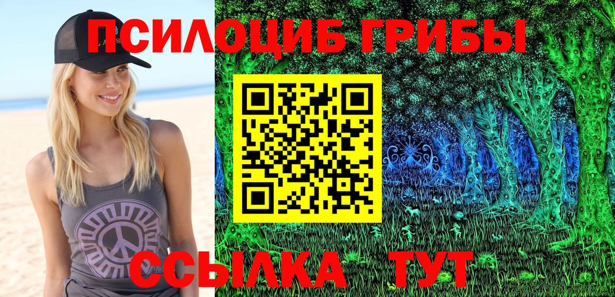 Галлюциногенные грибы Psilocybe  купить наркоту  Вязьма  Вход с VPN 