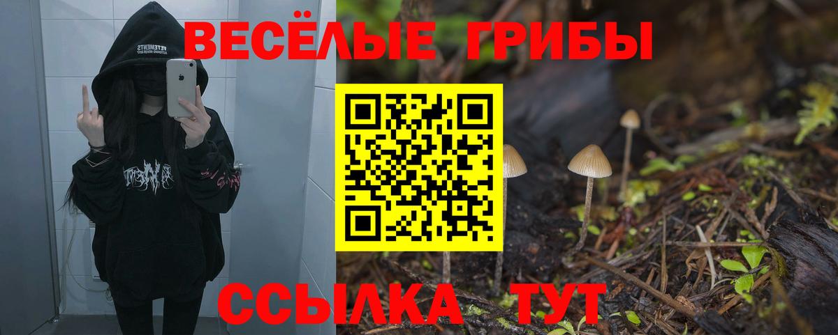 Галлюциногенные грибы ЛСД Вязьма